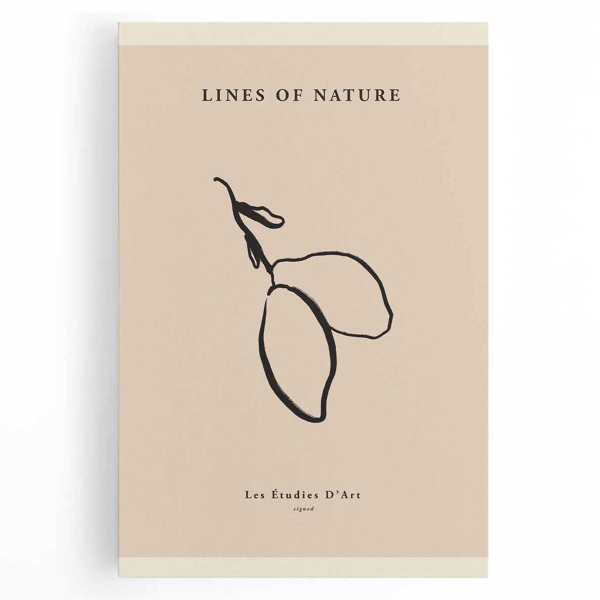 Minimalist Botanical Line Art – Simple Abstract Nature-Inspired Decor