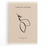 Minimalist Botanical Line Art – Simple Abstract Nature-Inspired Decor