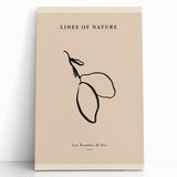 Minimalist Botanical Line Art – Simple Abstract Nature-Inspired Decor