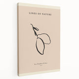 Minimalist Botanical Line Art – Simple Abstract Nature-Inspired Decor