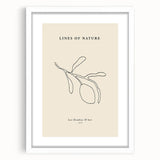 Minimalist Wall Art – Modern Nature-Inspired Line Drawing for Elegant Spaces