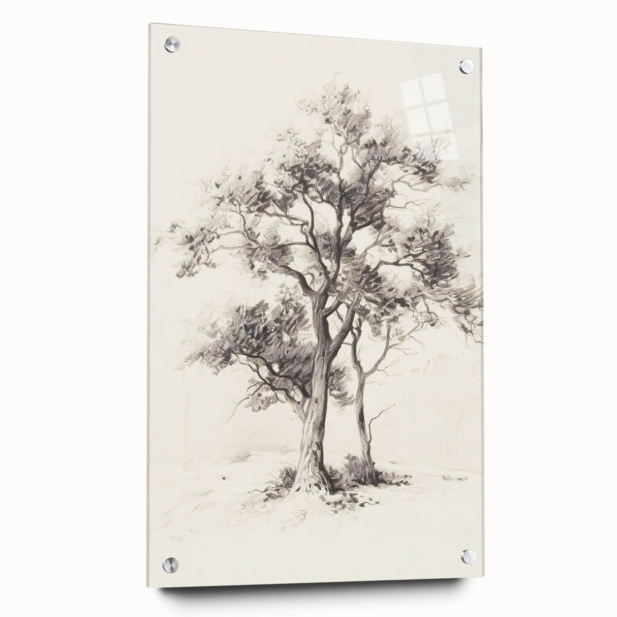 Minimalist Tree Sketch Art – Black and White Nature Drawing
