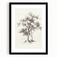 Minimalist Tree Sketch Art – Black and White Nature Drawing