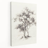 Minimalist Tree Sketch Art – Black and White Nature Drawing
