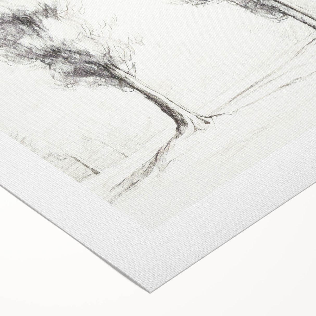 Minimalist Tree Sketch Art – Elegant Pencil Drawing of Two Trees