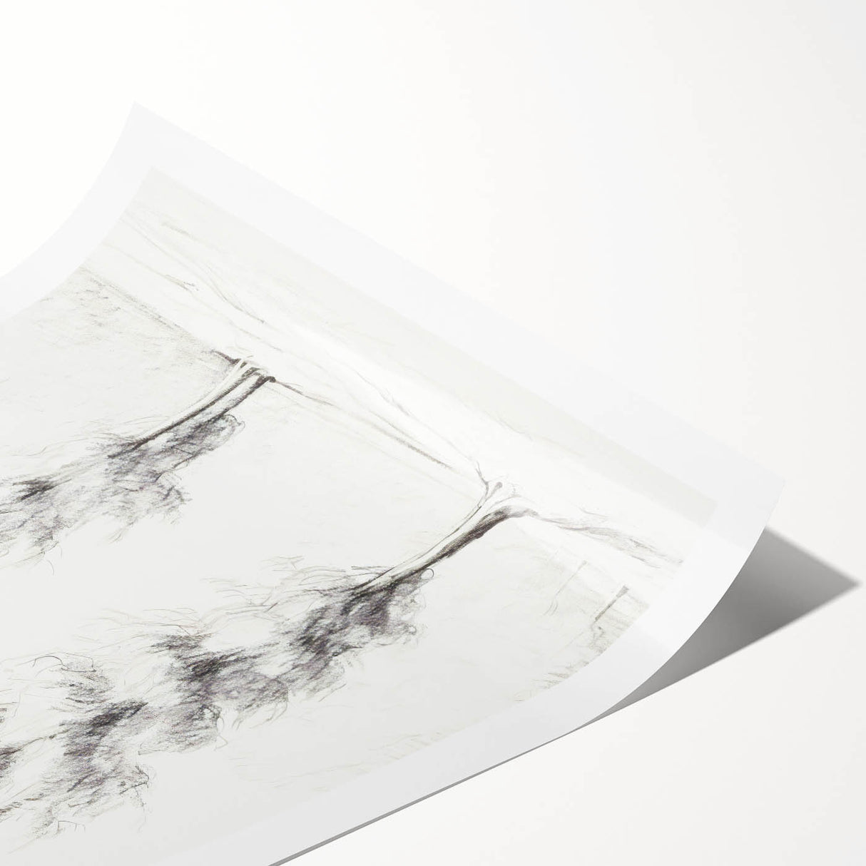 Minimalist Tree Sketch Art – Elegant Pencil Drawing of Two Trees