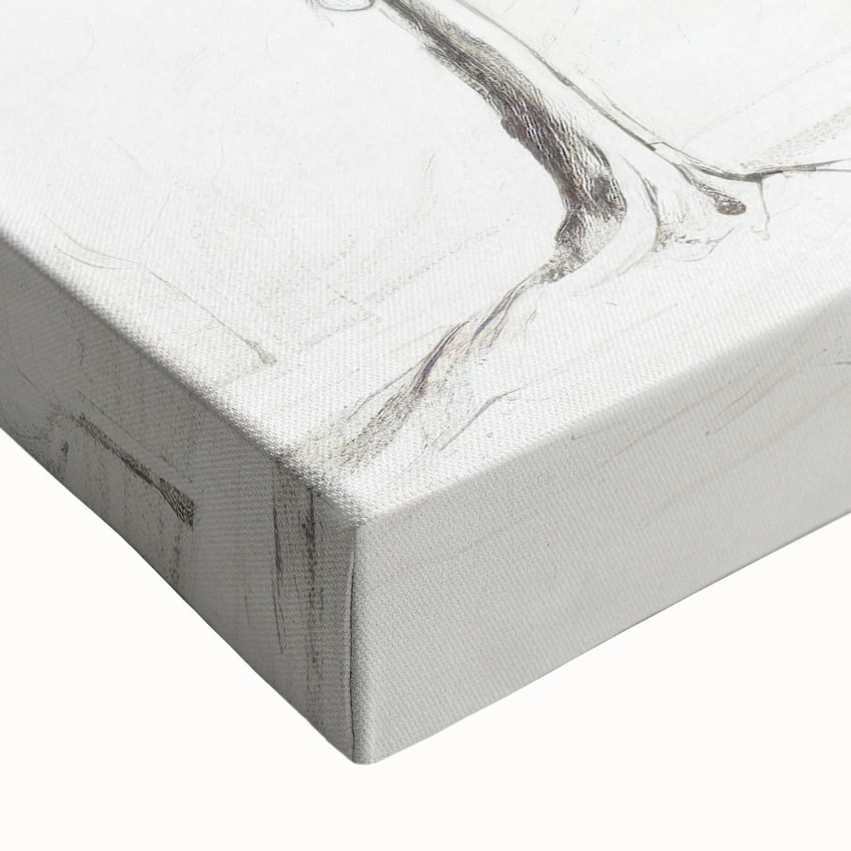 Minimalist Tree Sketch Art – Elegant Pencil Drawing of Two Trees