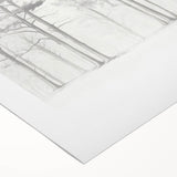 Minimalist Tree Sketch – Forest Scene in Soft Pencil Lines