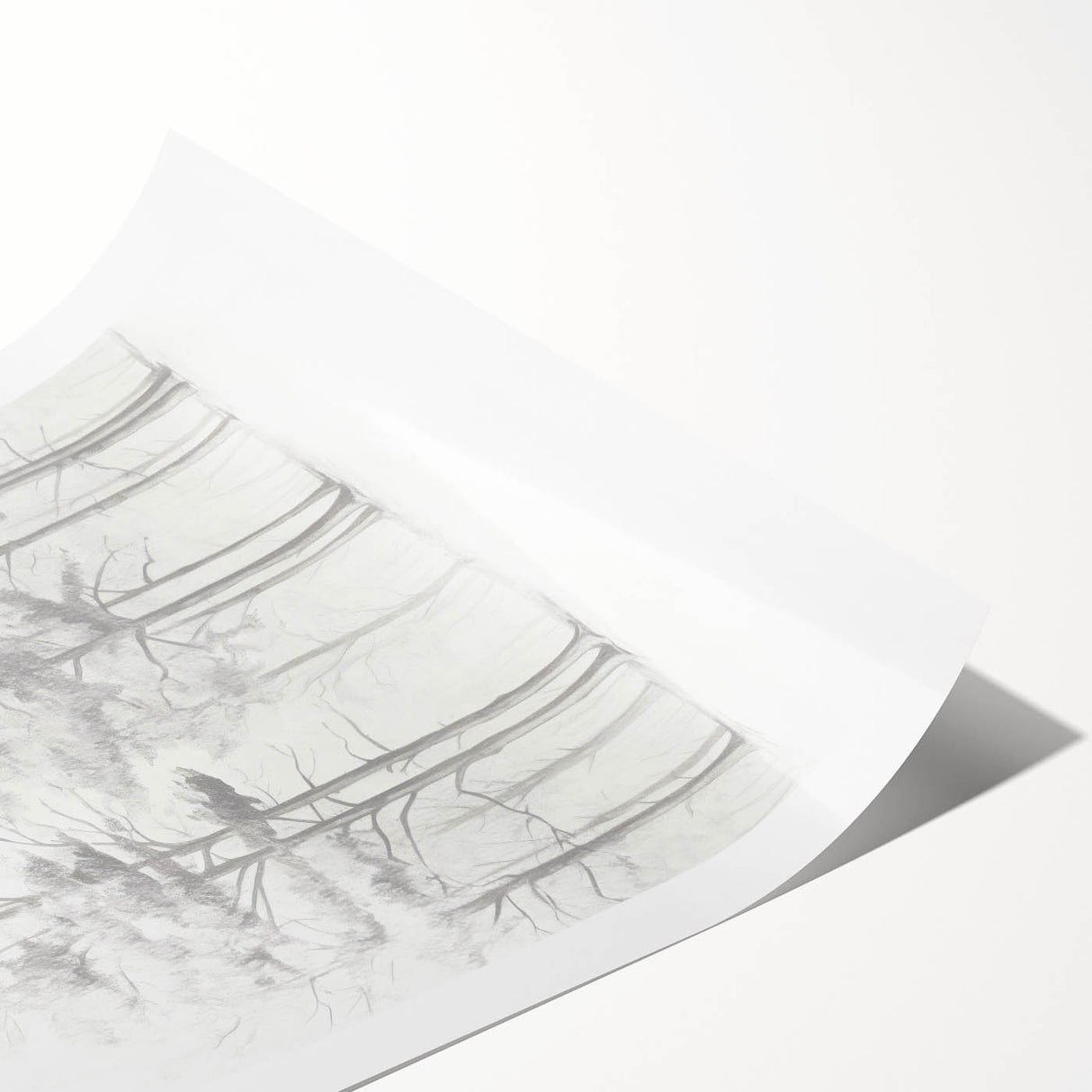 Minimalist Tree Sketch – Forest Scene in Soft Pencil Lines
