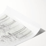 Minimalist Tree Sketch – Forest Scene in Soft Pencil Lines