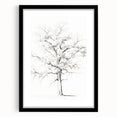 Minimalist Tree Drawing – Black and White Nature-Inspired Wall Art