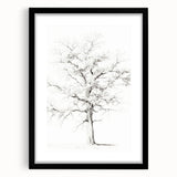 Minimalist Tree Drawing – Black and White Nature-Inspired Wall Art
