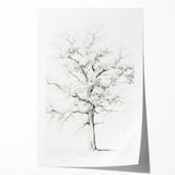 Minimalist Tree Drawing – Black and White Nature-Inspired Wall Art