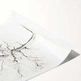 Minimalist Tree Drawing – Black and White Nature-Inspired Wall Art