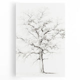 Minimalist Tree Drawing – Black and White Nature-Inspired Wall Art