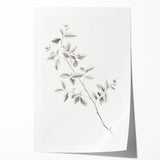 Minimalist Leaf Sketch – Elegant Pencil Drawing of a Branch
