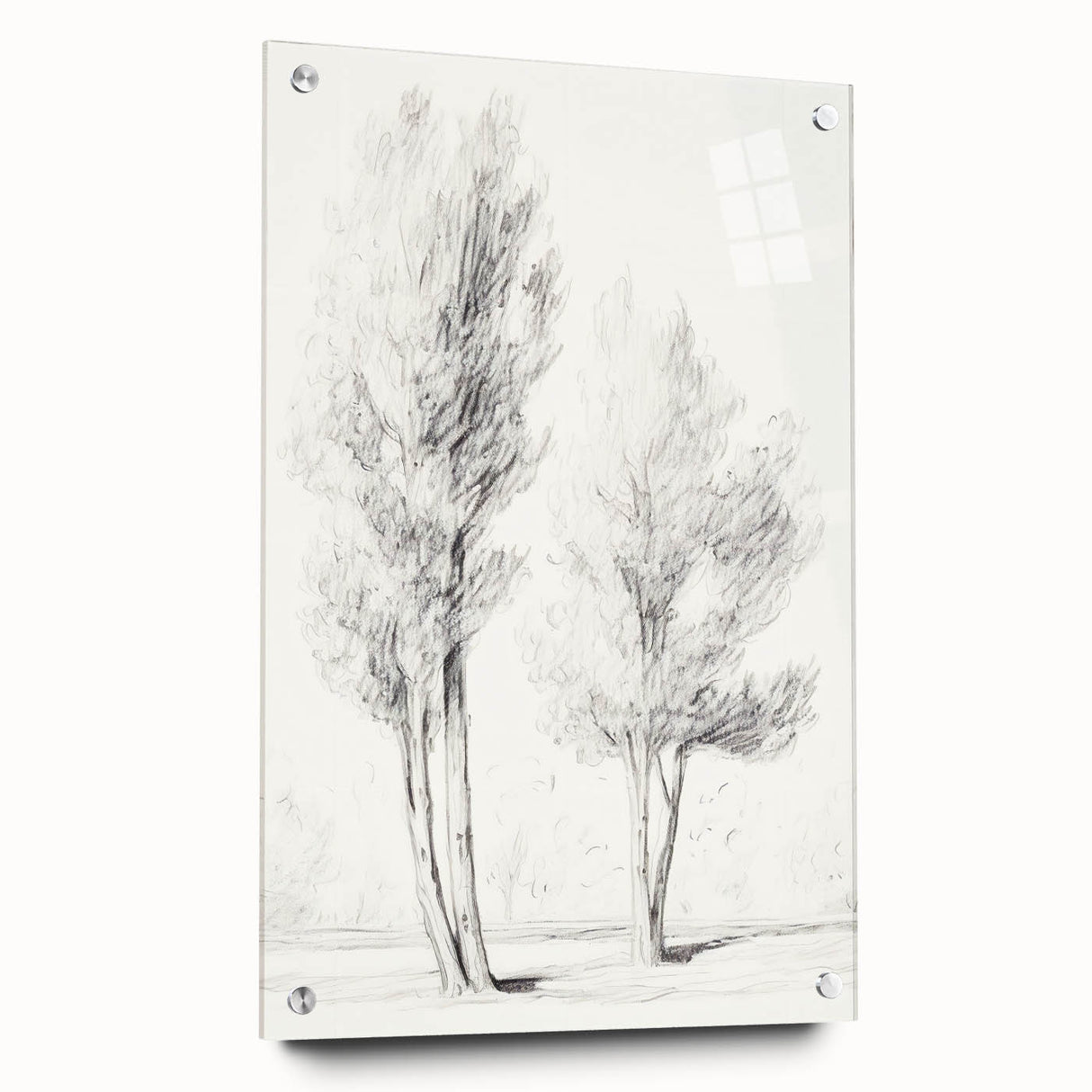Minimalist Tree Sketch – Pencil Drawing of Two Trees in Nature