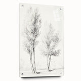 Minimalist Tree Sketch – Pencil Drawing of Two Trees in Nature