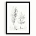 Minimalist Tree Sketch – Pencil Drawing of Two Trees in Nature