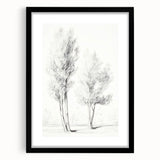 Minimalist Tree Sketch – Pencil Drawing of Two Trees in Nature