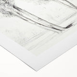 Minimalist Tree Sketch – Pencil Drawing of Two Trees in Nature