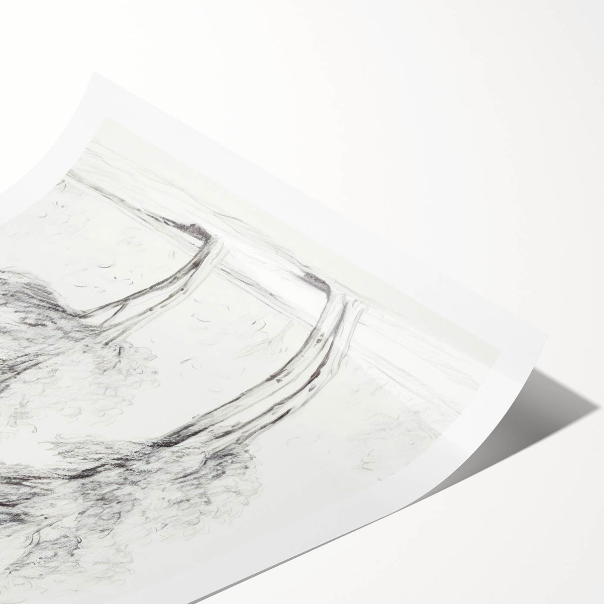 Minimalist Tree Sketch – Pencil Drawing of Two Trees in Nature