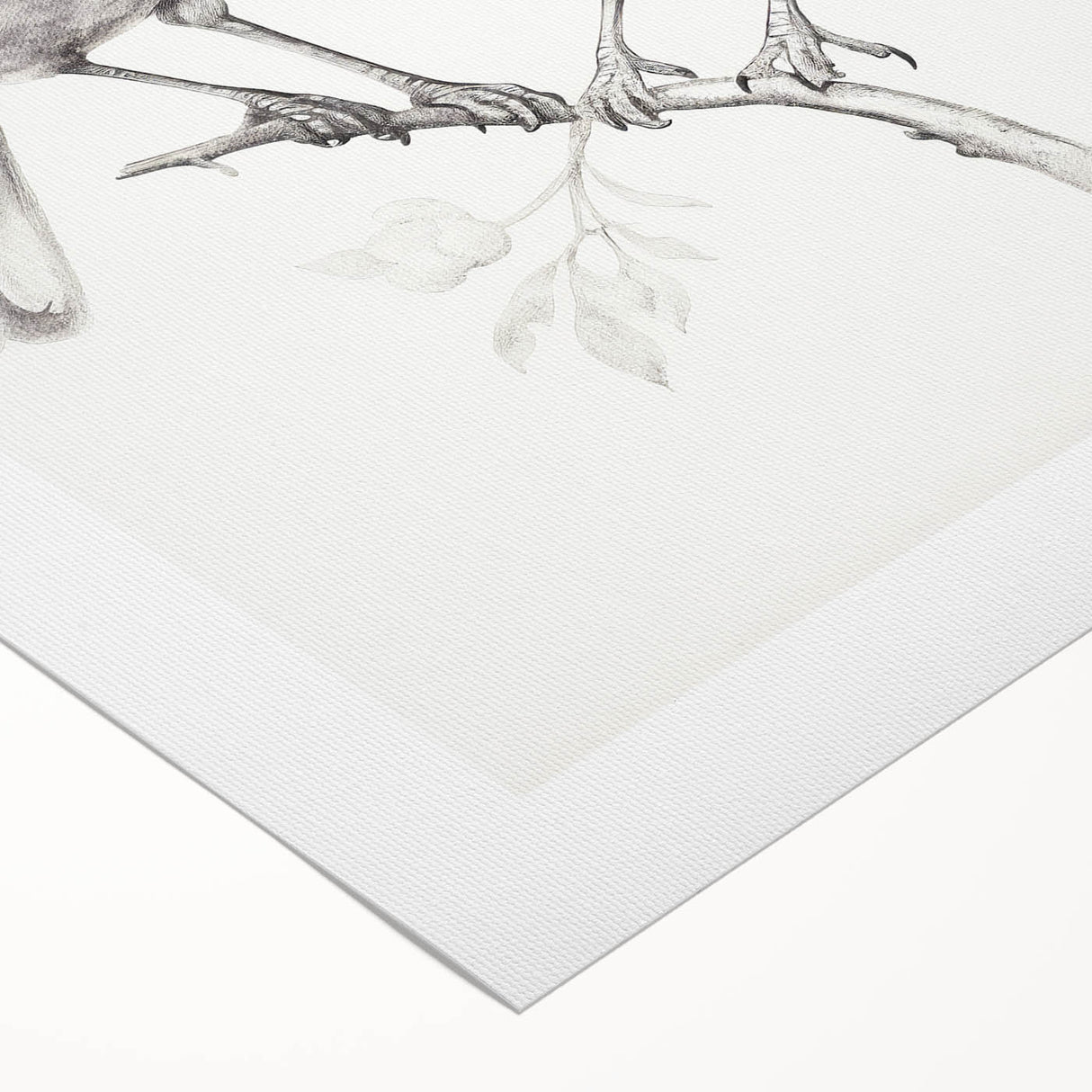 Minimalist Bird Sketch – Elegant Pencil Drawing of Two Birds on a Branch