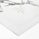 Minimalist Bird Sketch – Elegant Pencil Drawing of Two Birds on a Branch