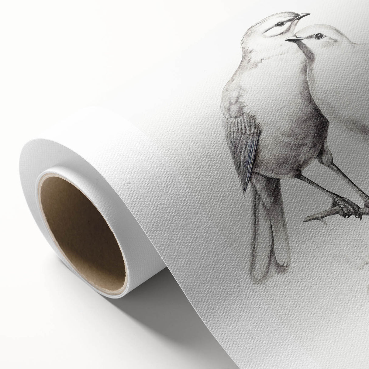 Minimalist Bird Sketch – Elegant Pencil Drawing of Two Birds on a Branch