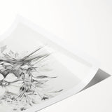 Minimalist Floral Sketch – Detailed Pencil Drawing of Flowers