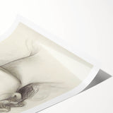 Minimalist Portrait Art – Elegant Pencil Drawing of a Woman