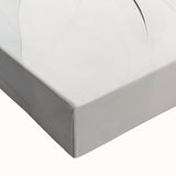 Minimalist Abstract Wall Art - Soft Flowing Curves in Neutral Tones