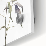 Minimalist Floral Wall Art - Delicate Watercolor Flower in Soft Tones