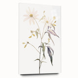 Minimalist Floral Wall Art - Delicate Watercolor Flower in Soft Tones