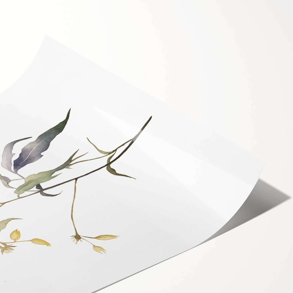 Minimalist Floral Wall Art - Delicate Watercolor Flower in Soft Tones