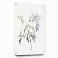 Minimalist Floral Wall Art - Soft Watercolor Flowers in Pale Blue Tones