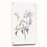 Minimalist Floral Wall Art - Soft Watercolor Flowers in Pale Blue Tones