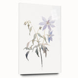 Minimalist Floral Wall Art - Soft Watercolor Flowers in Pale Blue Tones