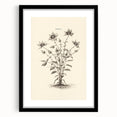 Minimalist Wall Art – Botanical Wildflower Sketch for Simple Home Decor