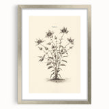 Minimalist Wall Art – Botanical Wildflower Sketch for Simple Home Decor