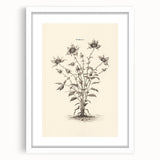 Minimalist Wall Art – Botanical Wildflower Sketch for Simple Home Decor