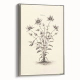 Minimalist Wall Art – Botanical Wildflower Sketch for Simple Home Decor