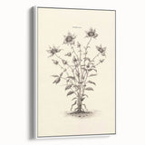 Minimalist Wall Art – Botanical Wildflower Sketch for Simple Home Decor