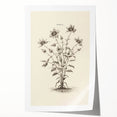Minimalist Wall Art – Botanical Wildflower Sketch for Simple Home Decor