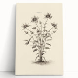 Minimalist Wall Art – Botanical Wildflower Sketch for Simple Home Decor