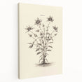 Minimalist Wall Art – Botanical Wildflower Sketch for Simple Home Decor