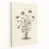 Minimalist Wall Art – Botanical Wildflower Sketch for Simple Home Decor