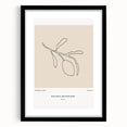 Modern Minimalist Art: Clean Line Botanical Minimalist Wall Art Print