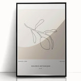 Modern Minimalist Art: Clean Line Botanical Minimalist Wall Art Print