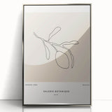 Modern Minimalist Art: Clean Line Botanical Minimalist Wall Art Print